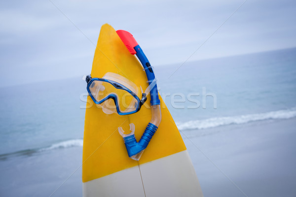 Surfboard with scuba mask on the beach Stock photo © wavebreak_media