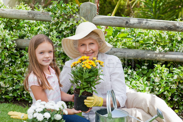 Stockfoto: Grootmoeder · kleindochter · werken · tuin · meisje · glimlach