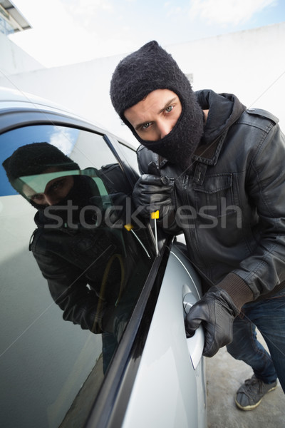 Ladro auto porta finestra maschio assicurazione Foto d'archivio © wavebreak_media