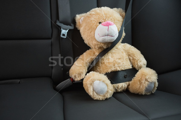 Teddy bear strapped in with seat belt Stock photo © wavebreak_media