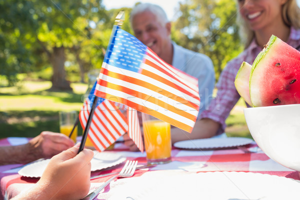 Imagine de stoc: Fericit · de · familie · picnic · American · Flag · femeie