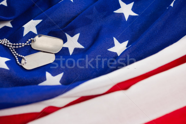 狗 標籤 鏈 美國國旗 標籤 商業照片 © wavebreak_media