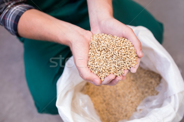 Midsection of worker examining barley at warehouse Stock photo © wavebreak_media