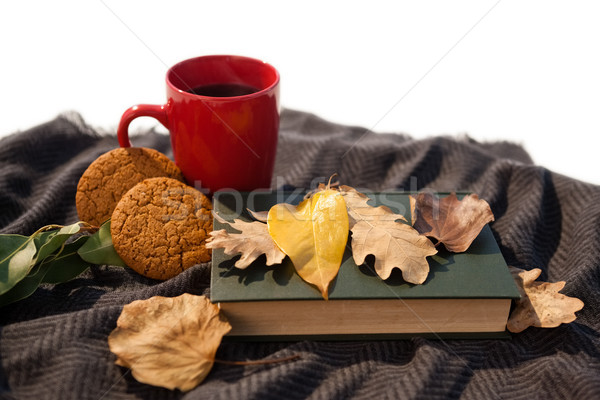 Black coffee, cookies, diary and autumn leaves on woolen blanket Stock photo © wavebreak_media