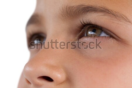 Boy with hazel eyes Stock photo © wavebreak_media