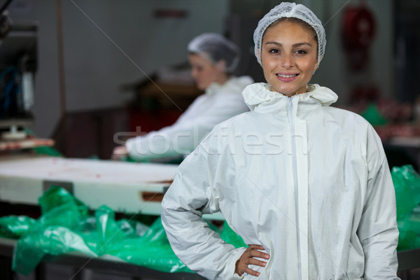 Feminino açougueiro em pé mãos quadril retrato Foto stock © wavebreak_media