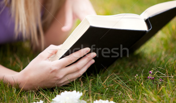 Primer plano mujer lectura libro parque hierba Foto stock © wavebreak_media