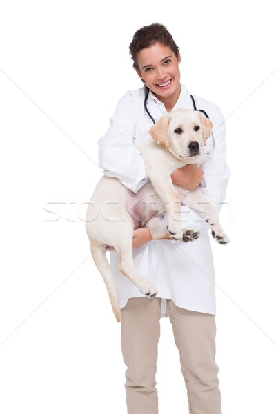 Beautiful veterinarian with a cute dog in her arms Stock photo © wavebreak_media