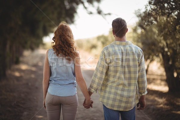 Cuplu țin de mâini mers drum de pamant măsline fermă Imagine de stoc © wavebreak_media