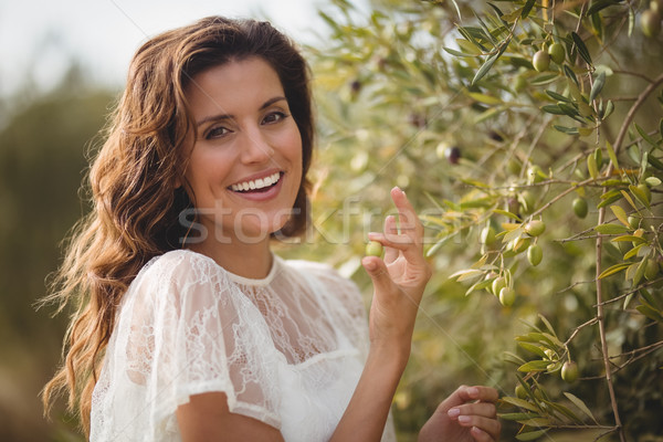 Portrait of happy young woman plucking olives at farm Stock photo © wavebreak_media