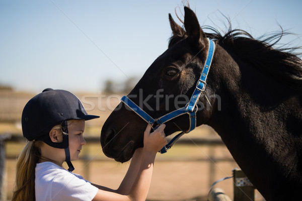 Girl staring at the brown horse in the ranch Stock photo © wavebreak_media