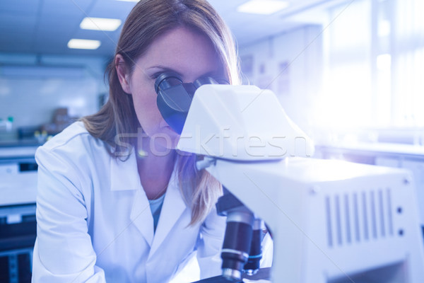 Foto stock: Cientista · trabalhando · microscópio · laboratório · universidade · mulher