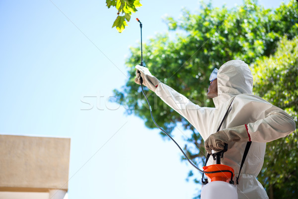 Man doing pest control Stock photo © wavebreak_media