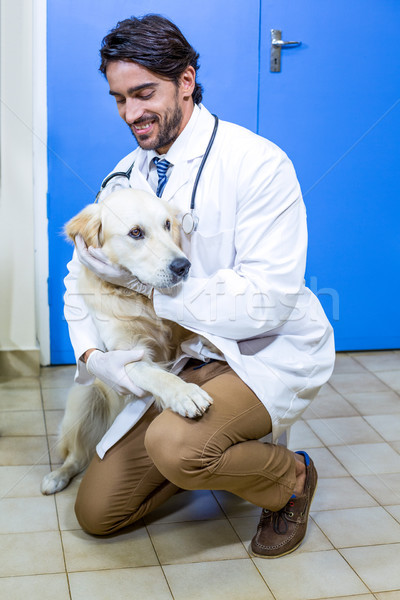 A man vet petting a dog  Stock photo © wavebreak_media