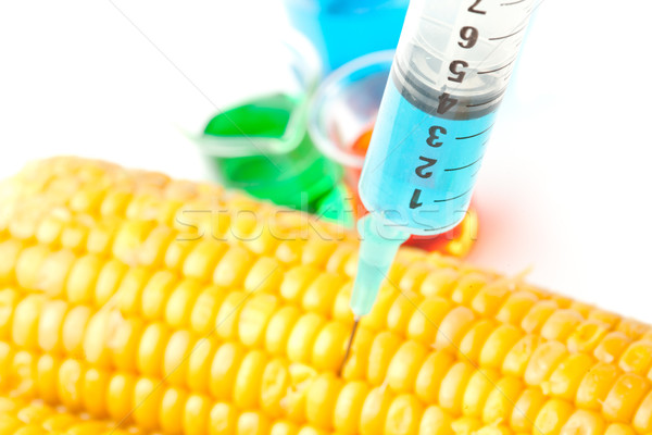 Syringe piercing corn against a white background Stock photo © wavebreak_media