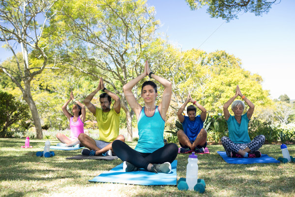 Stock photo: Group of people performing yoga in the park