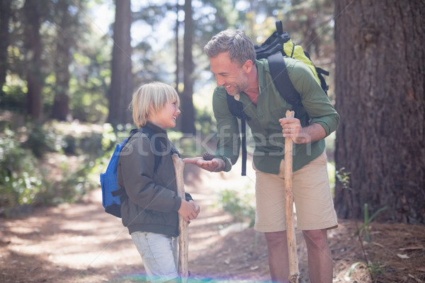 Father showing pine cone to son while hiking in forest Stock photo © wavebreak_media