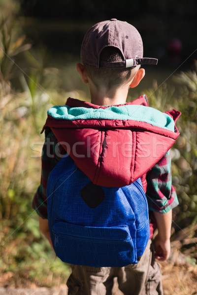 Rear view of hiker standing in forest Stock photo © wavebreak_media