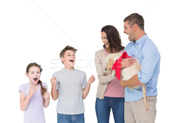 Eltern Welpen Kinder glücklich Mutter Vater Stock foto © wavebreak_media
