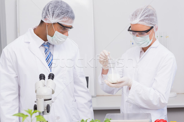 Scientists looking at white precipitate  Stock photo © wavebreak_media