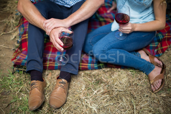 Para posiedzenia koc piknikowy niski Zdjęcia stock © wavebreak_media