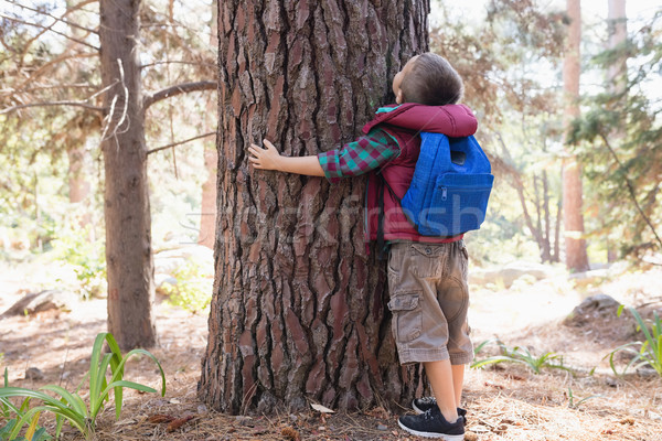 Rear view of boy embracing tree in forest Stock photo © wavebreak_media