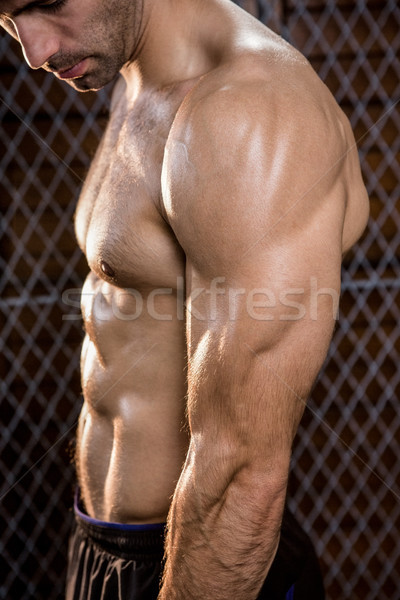 Foto d'archivio: Vista · laterale · muscolare · uomo · palestra · corpo · fitness