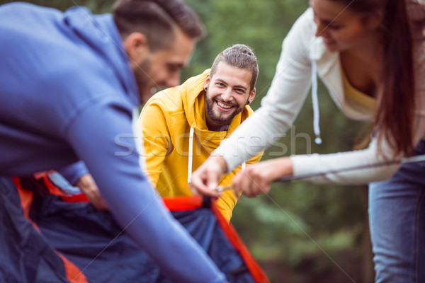 Happy friends setting up their tent Stock photo © wavebreak_media