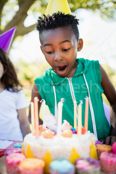 Portrait of cute boy preparing to blow on candle during a birthd Stock photo © wavebreak_media