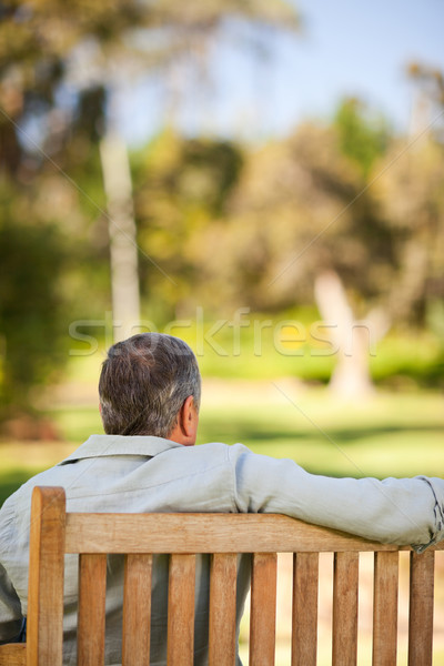 Elderly man sitting on the bench with his back to the camera Stock photo © wavebreak_media