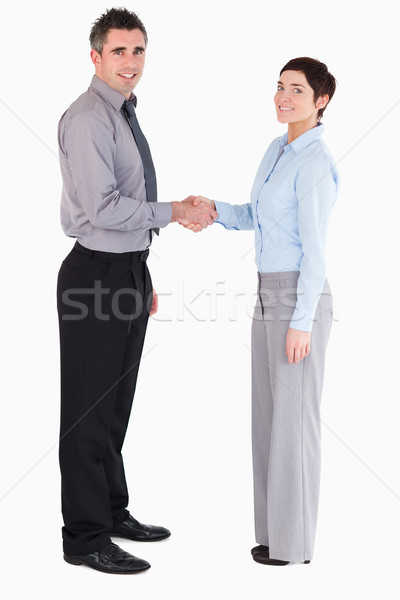 Gestionnaires handshake blanche affaires femme main [[stock_photo]] © wavebreak_media