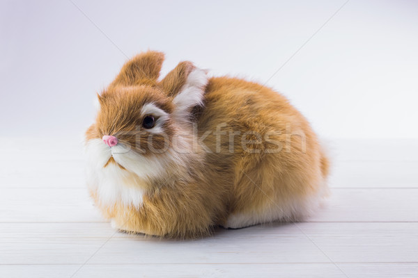 Ginger bunny rabbit Stock photo © wavebreak_media