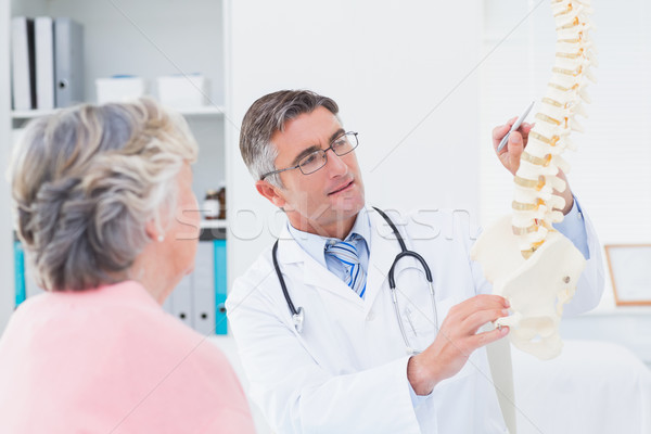 Сток-фото: врач · анатомический · позвоночник · старший · женщину · мужской · доктор