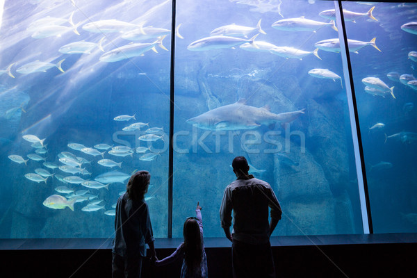 Happy family looking at the fish tank Stock photo © wavebreak_media