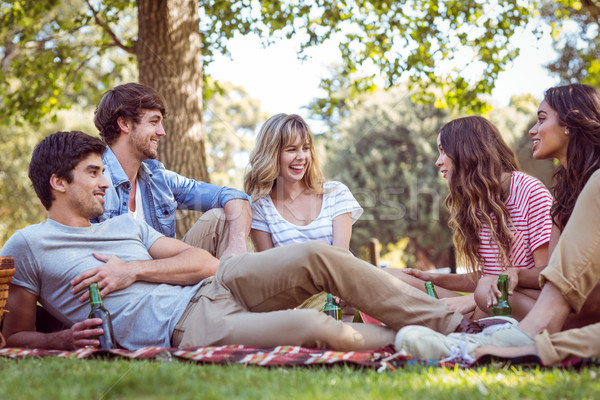 Foto d'archivio: Felice · amici · parco · picnic · uomo