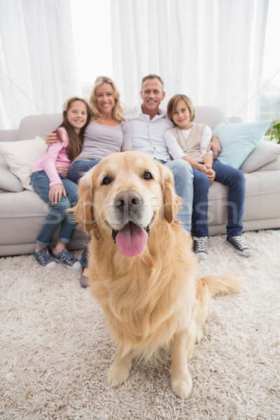 Family sitting on the couch with golden retriever in foreground Stock photo © wavebreak_media
