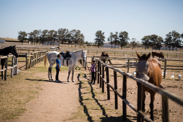 Kinder stehen Schimmel Ranch Mädchen Stock foto © wavebreak_media
