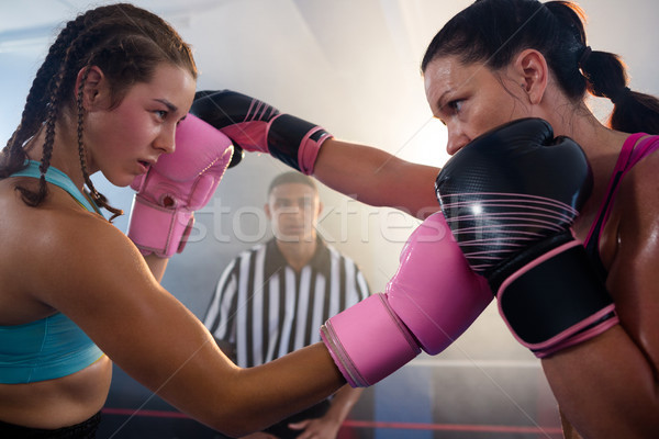 Homme caleçon autre boxe anneau fitness [[stock_photo]] © wavebreak_media