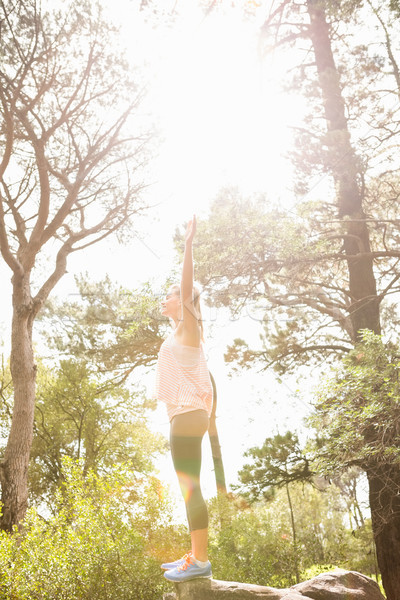 Carefree blonde hiker with arms outstretched  Stock photo © wavebreak_media