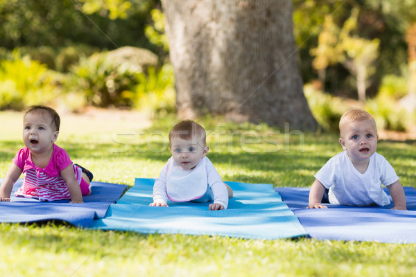 Three babies crawling on exercise-mat Stock photo © wavebreak_media