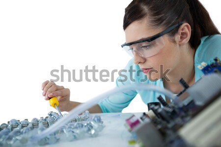 Computer engineer repairing computer motherboard Stock photo © wavebreak_media