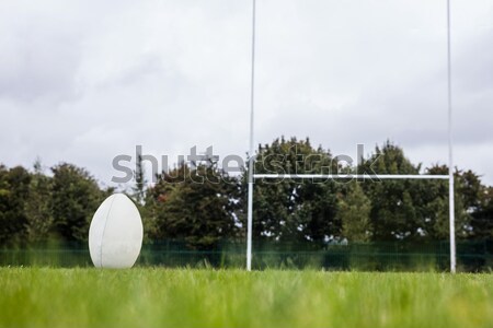 Soccer ball near a goal post in football stadium Stock photo © wavebreak_media