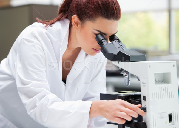 Jungen Wissenschaftler schauen Mikroskop Labor Frau Stock foto © wavebreak_media