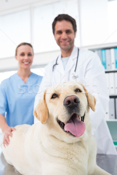 Stockfoto: Hond · kliniek · portret · vertrouwen · man · medische