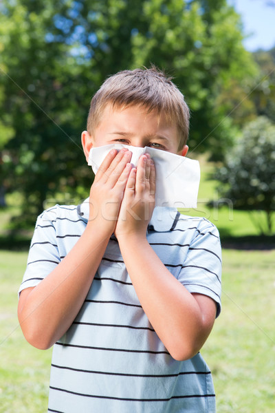 Little boy blowing his nose Stock photo © wavebreak_media