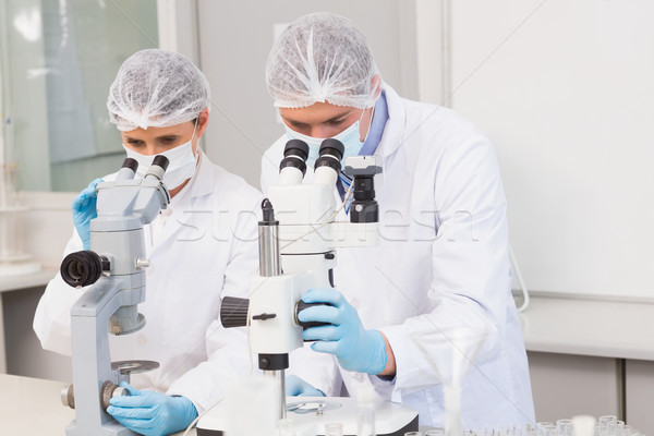 Scientists working attentively with microscopes Stock photo © wavebreak_media