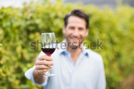 Female vintner examining glass of wine Stock photo © wavebreak_media