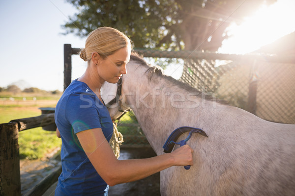 Jockey nettoyage cheval sueur grange Homme [[stock_photo]] © wavebreak_media