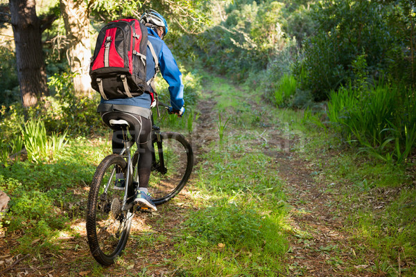 Stock photo: Male mountain biker riding bicycle in the forest