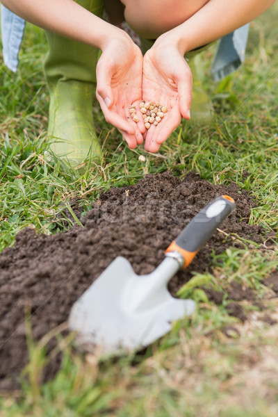 Woman planting in a field Stock photo © wavebreak_media